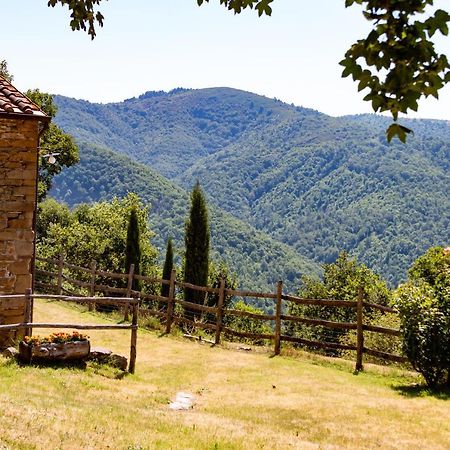 Agriturismo Con Piscina In Toscana, Tribbiano Arezzo Extérieur photo