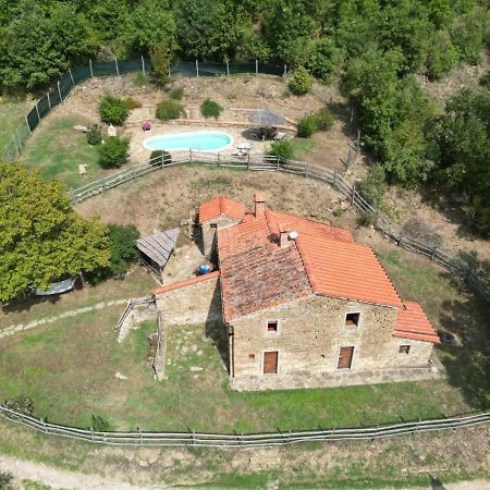Agriturismo Con Piscina In Toscana, Tribbiano Arezzo Extérieur photo
