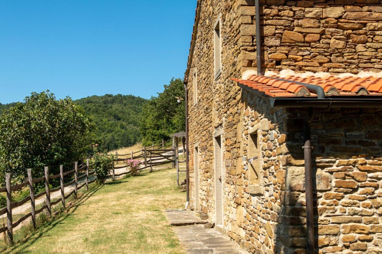 Agriturismo Con Piscina In Toscana, Tribbiano Arezzo Extérieur photo