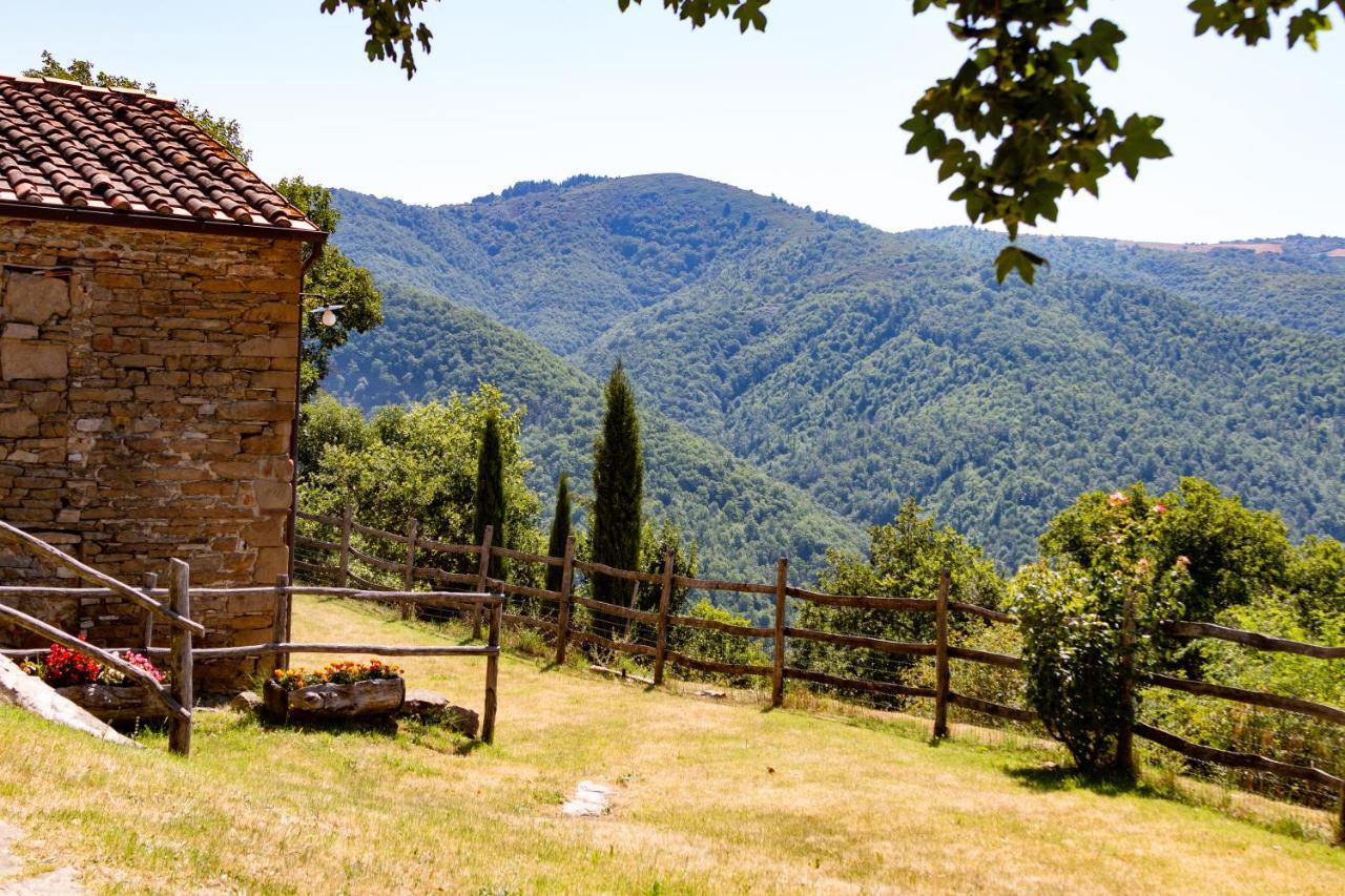 Agriturismo Con Piscina In Toscana, Tribbiano Arezzo Extérieur photo
