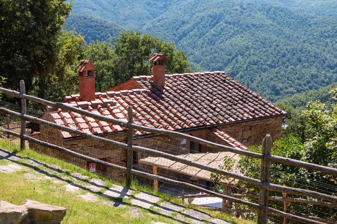 Agriturismo Con Piscina In Toscana, Tribbiano Arezzo Extérieur photo